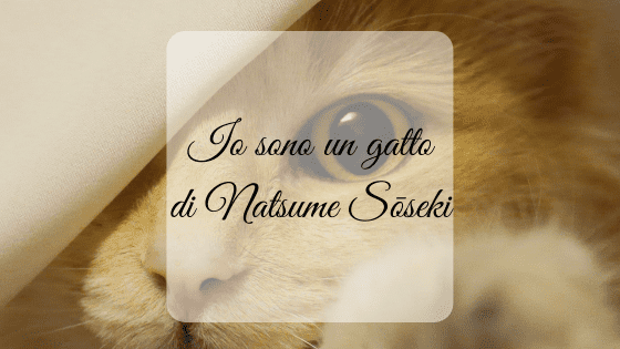 Io sono un gatto, di Natsume Sōseki