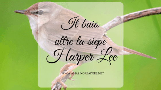 Il buio oltre la siepe, di Harper Lee